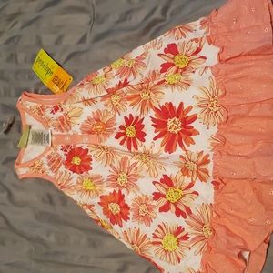 NWT toddler girl dress